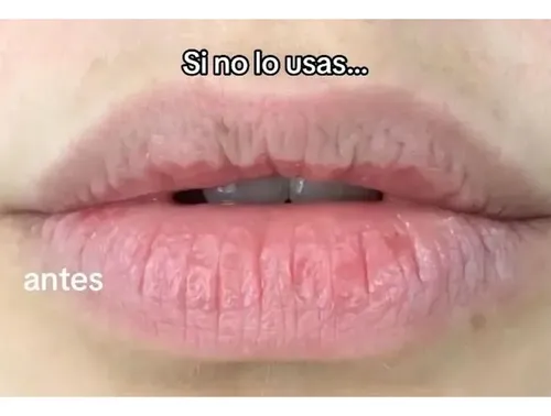 Vaselina Labial En Barra Hidrata Bálsamo Frutal Veaelice