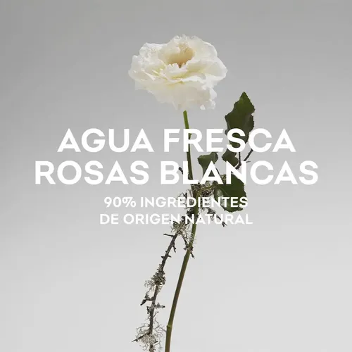 Adolfo Dominguez Agua Fresca De Rosas Blancas Edt 120ml