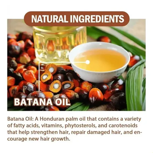 Fc Hair Oil Aceite De Batana Orgánico S