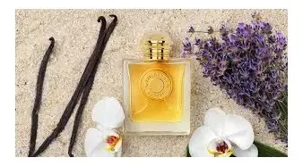 Perfume Burberry Goddess Edp Perfume Mujer X 50ml Masaromas