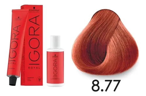 Tintura Igora Royal 8.77 + Oxidante 60ml Schwarzkopf