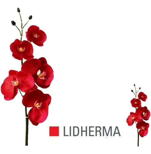 Espuma Corporal Gel Jabonoso Celulitis Flaccidez Lidherma
