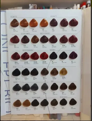 6 Tinturas Exiline Intensive Color Plex X 60gr. C/u
