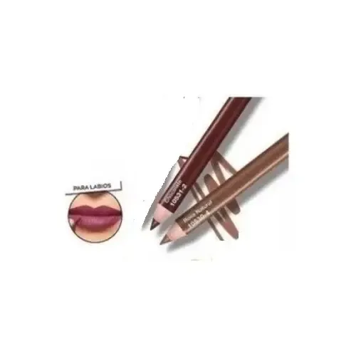 Delineador Labios Chocolate Rosa Natural Avon C. Trend Setx2