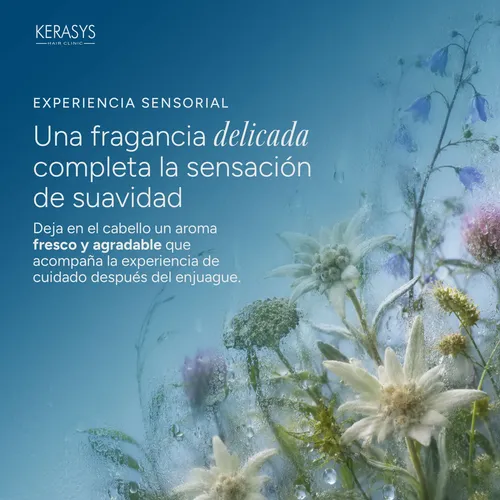 Kerasys Acondicionador Hidratante Coreano 180 Ml