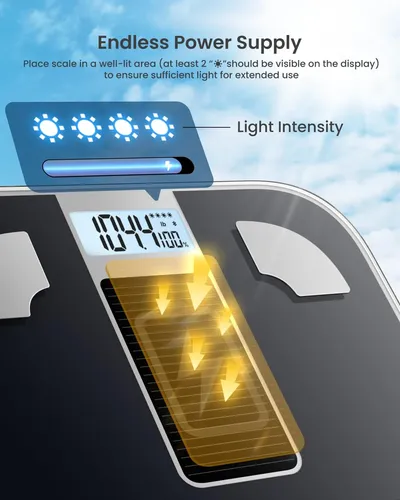 Balanza Inteligente Renpho Elis Solar 1 Con App