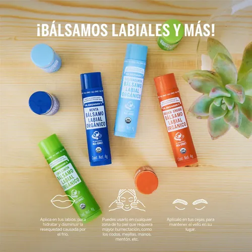 Kit Balsamo Labial Organico Dr Bronner`s 4 Aromas De 4g C/u