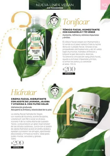 Limpieza Facial Vegana Desmaquillante Gel Limpieza Tonico