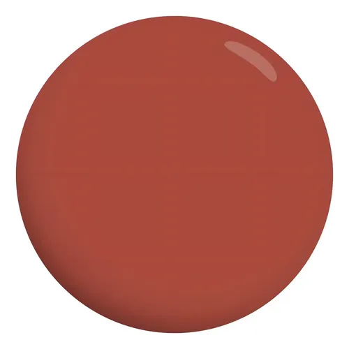 Labial Nude En Barra Línea Naturalmente Nude Xúlu Z251 Color MATE M24
