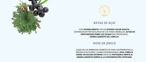 Yellow Silver Matizador Violeta para Rubios Fríos y Grises Acondicionador 500ml