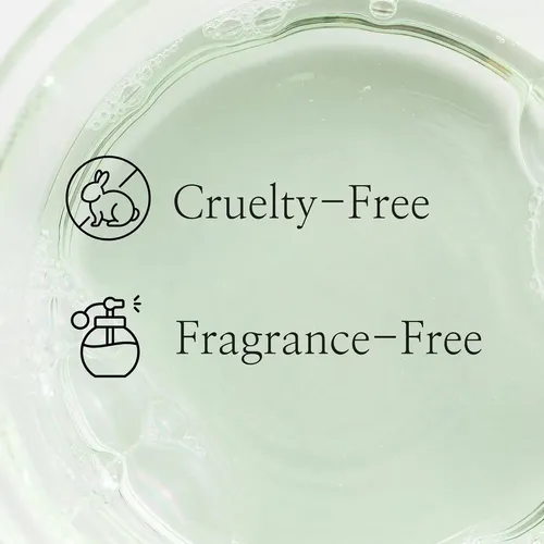 Beauty Of Joseon Green Plum Aha Bha Tonic Facial Refrescante