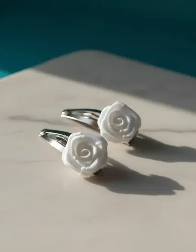 Clips Para El Pelo De Moda