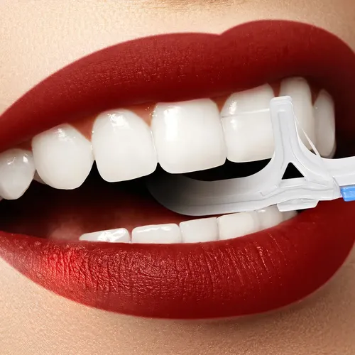 2×soporte Hilo Dental Reutilizable Longzhou