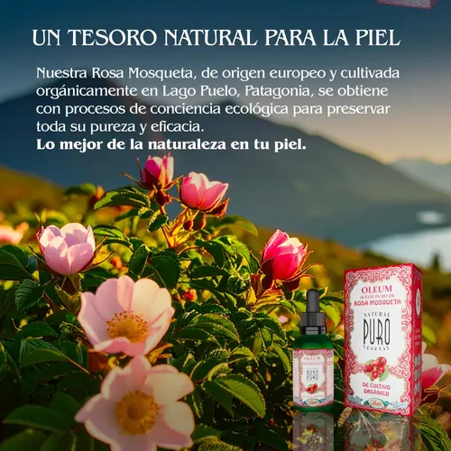 Aceite Facial y corporal De Rosa Mosqueta Orgánico 30ml Boti-k Puro