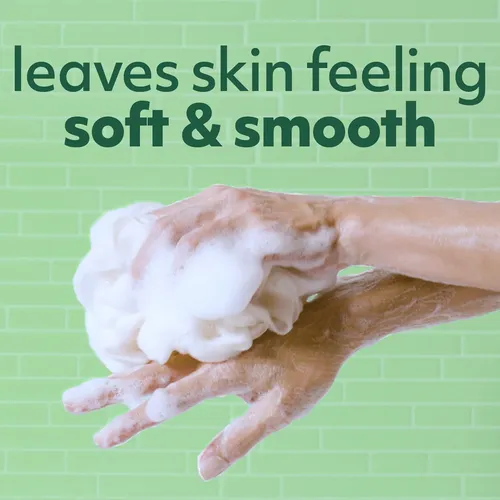 Jabón Líquido Corporal Softsoap Eucalipto Y Menta Hidratante