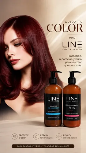 Kit Shampoo Acondicionador Cabello Teñido Protector Térmico