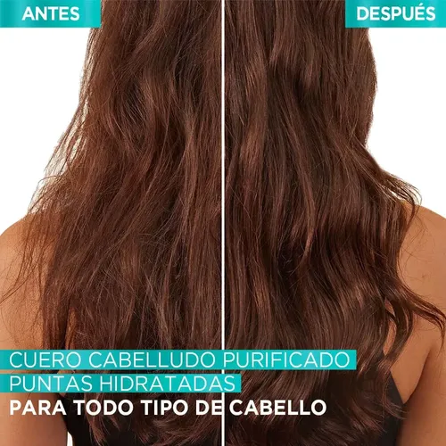 Shampoo Elvive Hialurónico Pure X 400 Ml