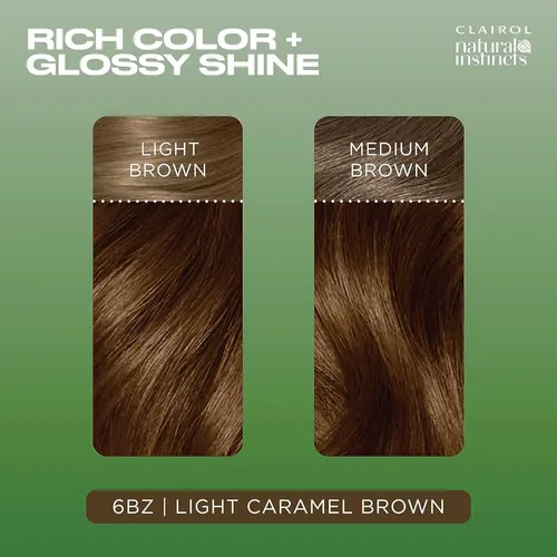Tinte Demi-permanente Clairol Natural Instincts 6bz