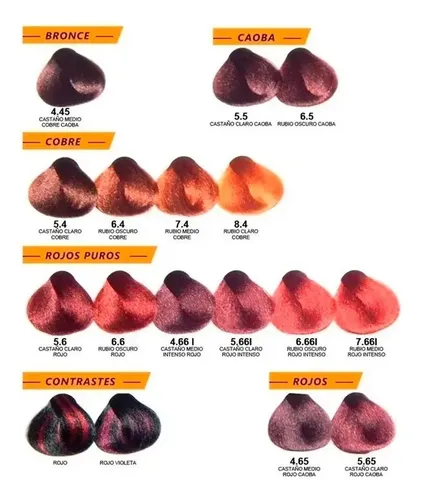 12 Tinturas Alfaparf Evolution Coloracion A Eleccion X 60 Gr
