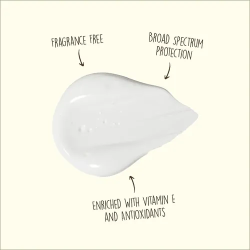 Protector Solar Spf 70 Sun Bum 85g