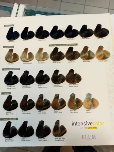 6 Tinturas Exiline Intensive Color Argán Oil X 60gr. C/u