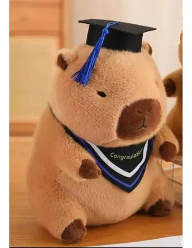 Muñeca De Peluche Con Gorro De Graduación, Regalo De M