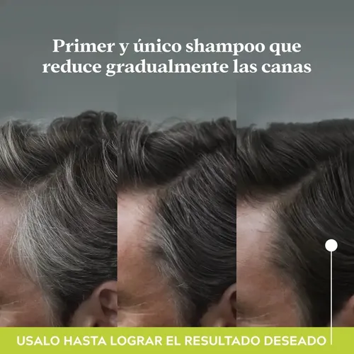 Pack X 3 Shampoo Anticanas Just For Men Control Gx 177ml