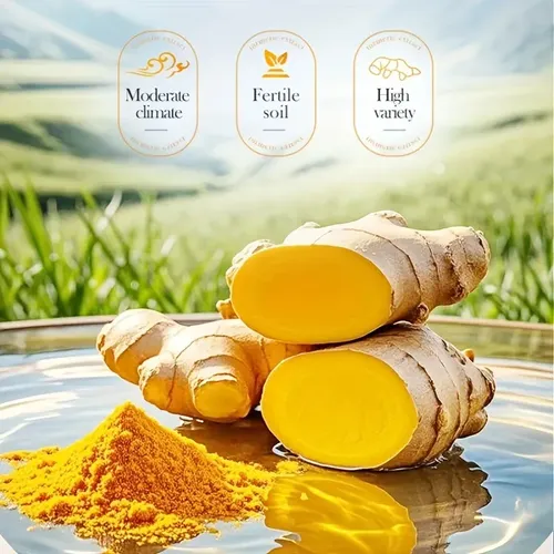 Gel De Baño Exfoliante De Cúrcuma Y Niacinamida T520