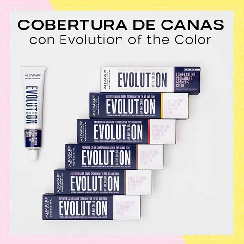 Tintura Alfaparf Evolution Of The Color 60 Ml Cosmetica Tono 7
