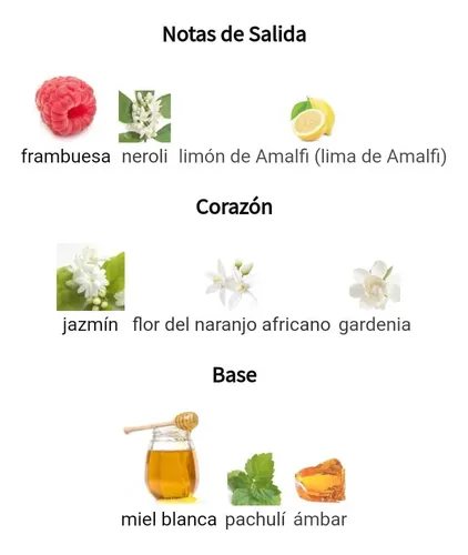 Perfume Lady-mll0n/ei 100ml Mujer Extracto Concentrado