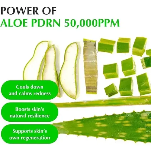 Eqqualberry – Aloe Pdrn Calming Serum 30 Ml Suero Calmante Todo Tipo De Piel Día/noche