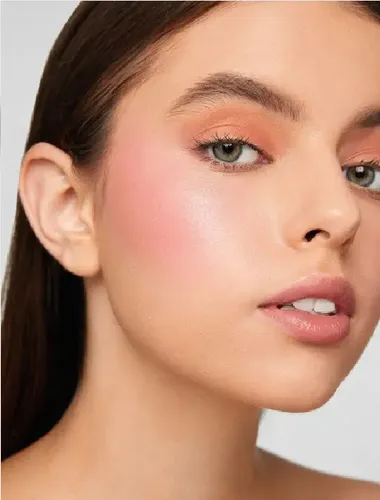 Sheglam Rubor Blush Colorete En Barra Alto Pigmento – Tono Del Maquillaje Wild Love