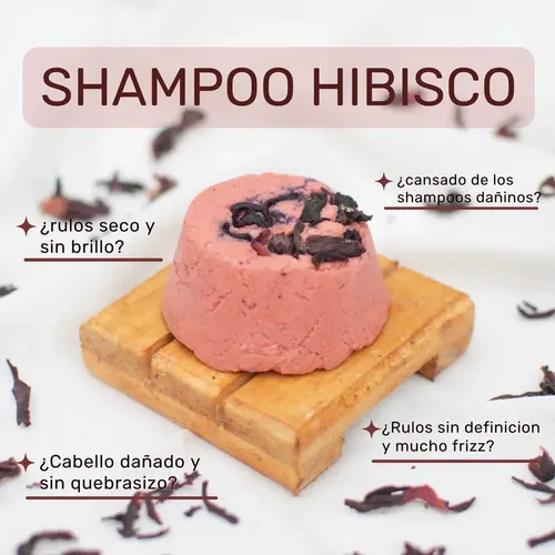 Shampoo Solido, Hibisco, Rulos, Curly, Nutre Natural, Vegano