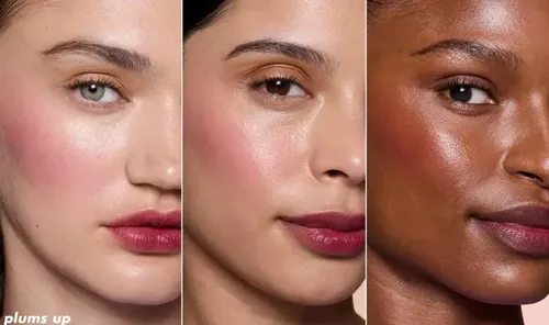 Elf Tinta Labios Y Mejilla Sheer For It Blush Tint Plums Up