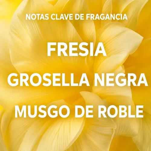 Máscara Capilar Wella Nutricurls Rulos Definidos 500ml