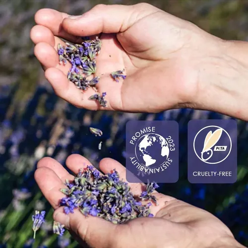Cera Dura Femirowax Lavanda 1 Lb – Perlas Depilación Piel