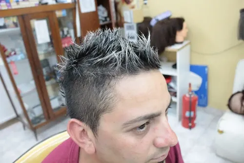 Shampoo Silver Reflex Color Protenat