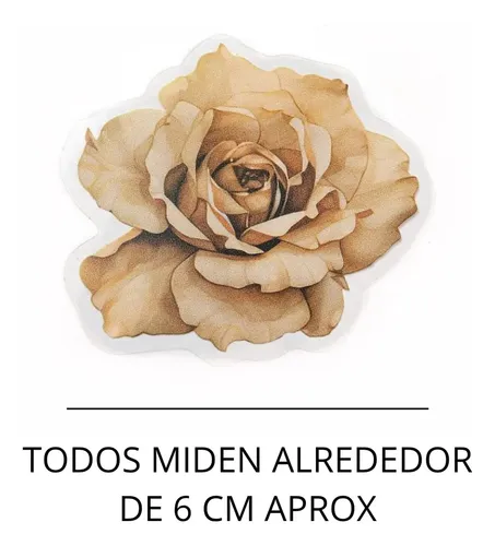 Sticker Adhesivo Flores Secas X 20 Un
