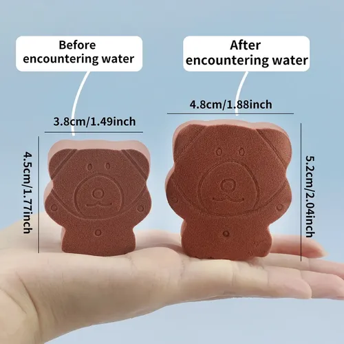 6 Esponjas En Forma De Galleta, Sin Látex