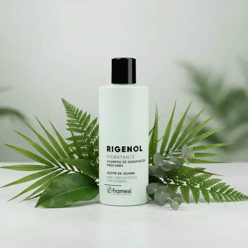 Shampoo Hidratante Reestructurante 250g Rigenol Framesi