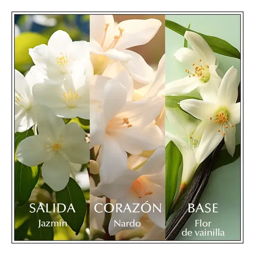 Perfume Chanson D’Eau Jasmine Floral Femme 100ml Spray Vegan