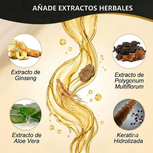 Champú Para Teñir El Cabello Negro 3 En 1