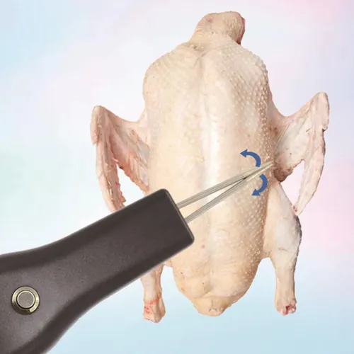 Máquina Desplumadora De Pollo De 110 V, Eléctrica Portátil P