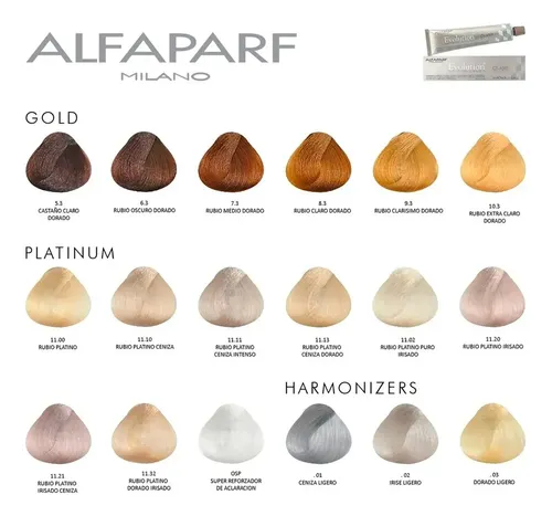 Alfaparf Evolution Kit X4 Tinturas 4 Oxidantes Coloración 3c