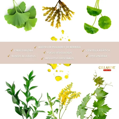 Cellasene Gold 30 Caps Tratamiento Anti Celulitis Original