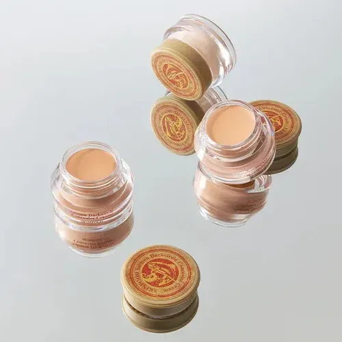 Corrector Skinfood Salmón Dark Circle para Ojeras Tono 00 Salmon Light de 10 g