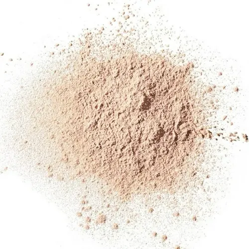 Revlon Colorstay Blot Matte Setting Powder Polvo