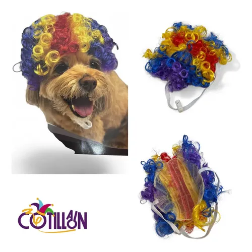 Peluca Para Mascota Payaso X1u