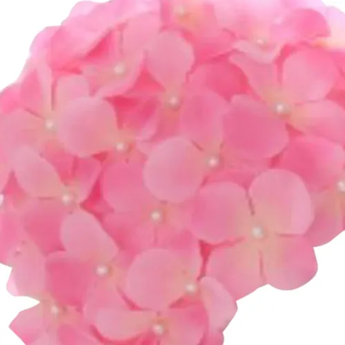 Gorro De Baño De Flores Gorros De Baño Para Pelo Rosa