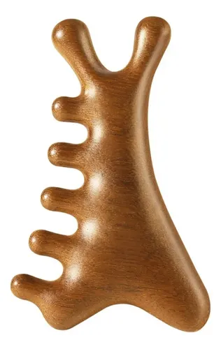 Chaoxi Peine Masaje Body Meridian, 4 En 1, Peine Chaoxi